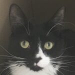 Profile picture of Fauxroot