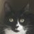 Profile picture of Fauxroot