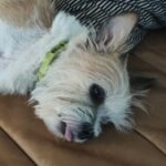 Profile picture of b0idz