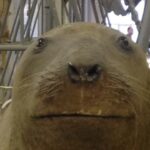 Profile picture of tobyf04