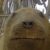 Profile picture of tobyf04