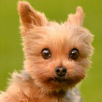 Profile picture of alexis21