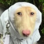 Profile picture of Whydoineedtocreateanaccount