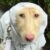 Profile picture of Whydoineedtocreateanaccount