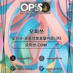 Profile picture of 답십리오피 출장마사지안내.COM 답십리OP