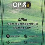 Profile picture of 동두천오피 출장마사지안내.COM 동두천OP