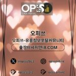 Profile picture of 수원오피 오피쓰.COM 수원OP