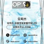 Profile picture of 안산오피 출장마사지안내.COM 안산OP