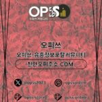 Profile picture of 압구정오피 오피사이트.NET 압구정OP
