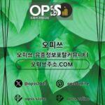 Profile picture of 인천오피 오피.CLUB 인천OP