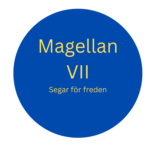 Profile picture of VII