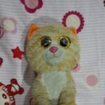 Profile picture of JackSun839