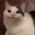 Profile picture of Callen