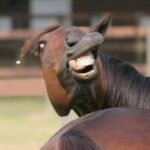 Profile picture of Neuro