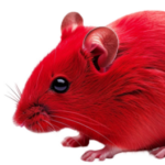 Profile picture of trialxii