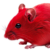 Profile picture of trialxii