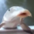 Profile picture of GeoFish