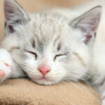 Profile picture of hdnbdr