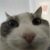 Profile picture of lizardvenom64