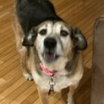 Profile picture of Busiedartist168