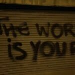 Profile picture of ellis19