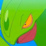 Profile picture of Echolophus