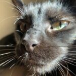 Profile picture of kylepp314