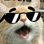 Profile picture of pollytheparrot