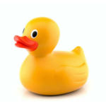 Profile picture of RubberDuck
