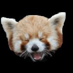Profile picture of blackoutfrfr
