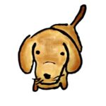 Profile picture of mnsndrssn
