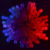Profile picture of hippograph