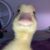 Profile picture of dutybird12