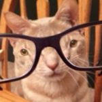 Profile picture of Kickee