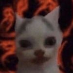 Profile picture of Even yael