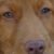 Profile picture of Erwino