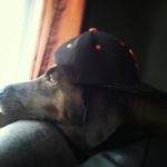 Profile picture of Xspike15