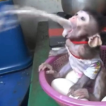 Profile picture of lavafn