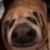Profile picture of ChooChoo6108