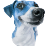 Profile picture of LacusHabiby