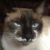 Profile picture of Lucaass
