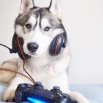 Profile picture of mikhusky