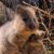 Profile picture of Martynka