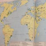 Profile picture of LoralieMorello