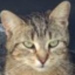 Profile picture of JawsBite